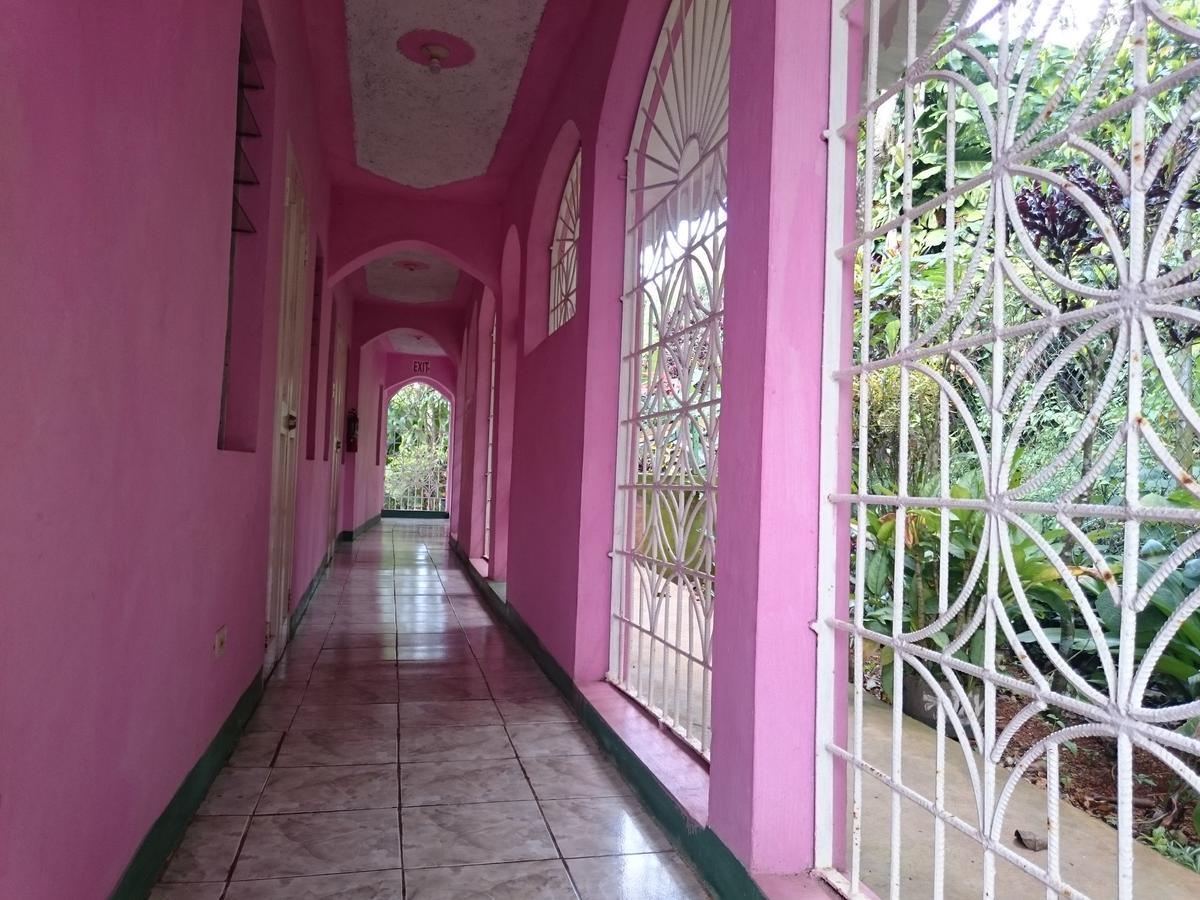Nine Miles Cultural Hangouts And Tours Stepney ภายนอก รูปภาพ